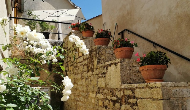 At Joséphine's lodgings