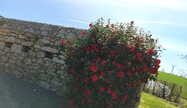 At the "commanderie" 15 mm from Puy du Fou