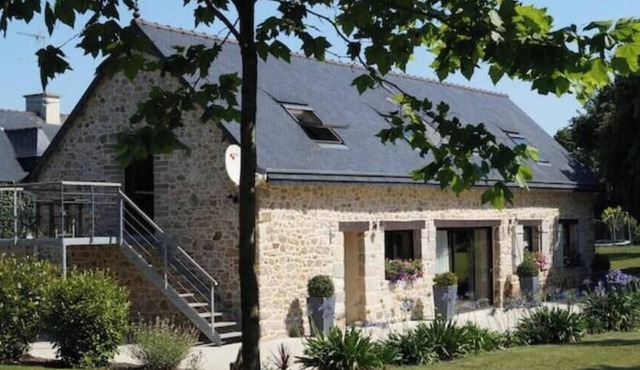 At the edge of the wood