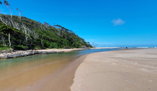 At the edge of a little Rain Forest... A short walk thru - your on Safety Beach