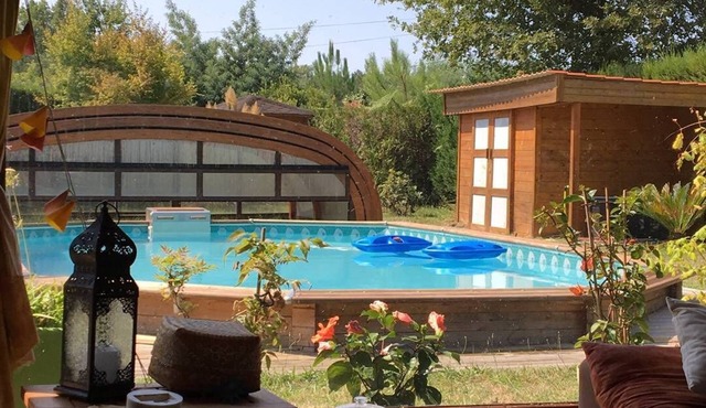 At the edge of the forest