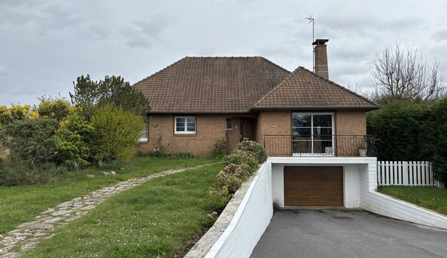 At the edge of the woods