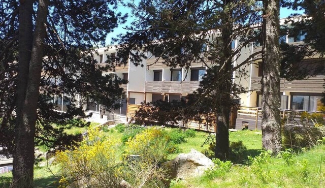 At the edge of the woods, cosy 2-bedroom apartment