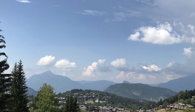 At the foot of the slopes (265 kms) in Les Carroz d'Araches, a 35 m studio cabin (4à6)