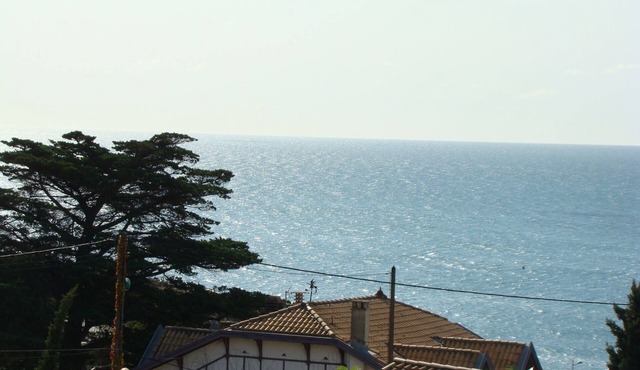 At the foot of Mt St Clair, facing the sea, La Note Bleue awaits you.;