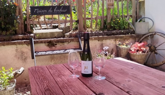 At the foot of the Champenois vineyards house situated between vineyards and the Champenois forest