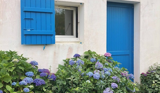 At the foot of the dunes and the beach! Ideal for a quiet place