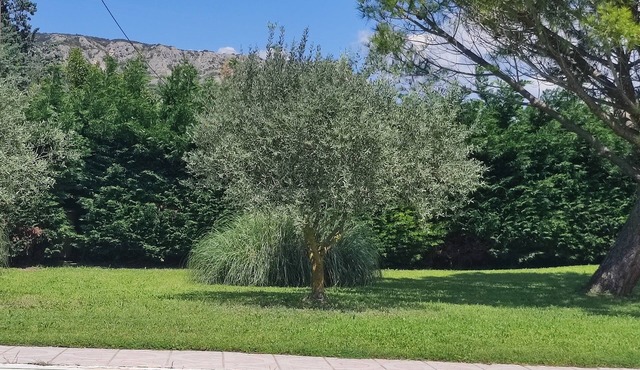 At the foot of the Lubéron (hiking and mountain biking), close to Provencal villages.