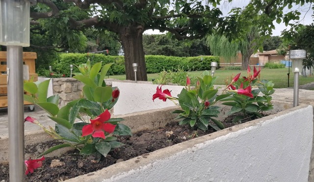 At the gateway to the Camargues