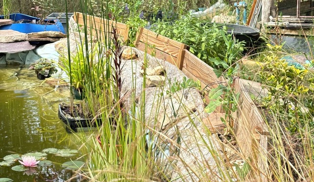 AT THE ENTRANCE TO THE STE BAUME FOREST Entire house, 2500 m2 of land