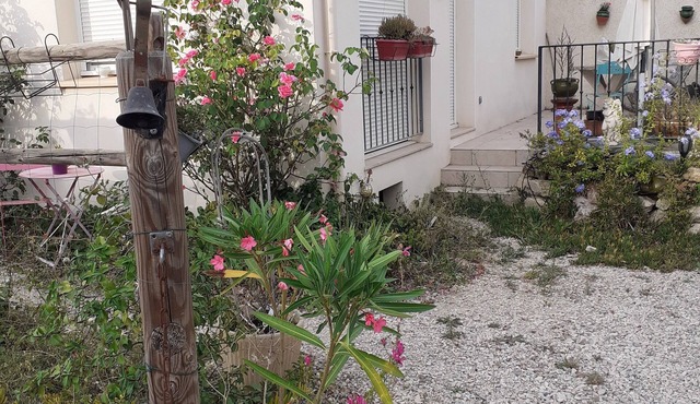 At the gates of the Camargue