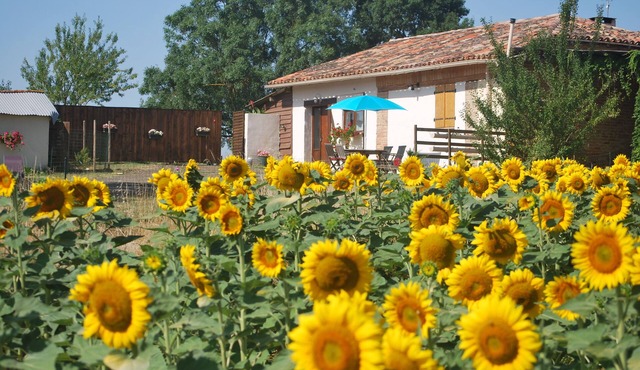 At the gateway to the Gers, Eden's Gite