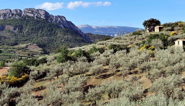 At the heart of the Provencal Drome, in a remarkable location, rental with pool