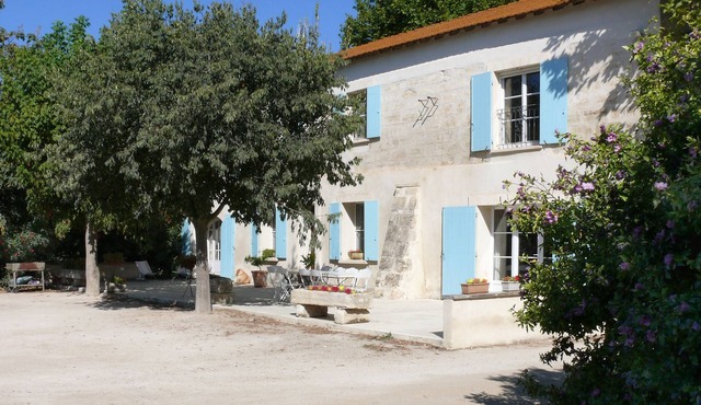 At the heart of the Camargue Regional Nature Park Bulls Livestock and Horses