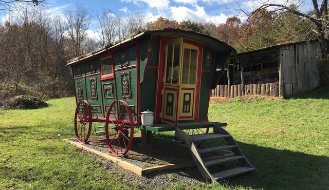 at the Lee Farm