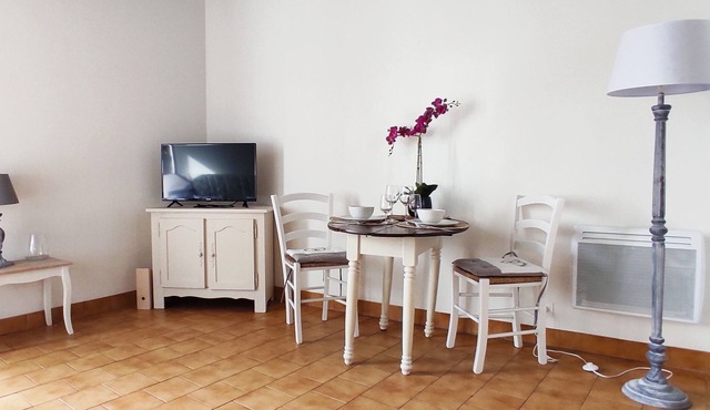 At the Swallows' Nests, Studio Le Petit Nid in Pouilly sur Loire