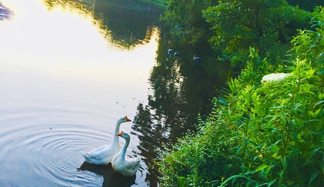 Atlanta Vacation House with Lake