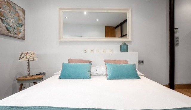Atotxa Apt. Central and Cozy. Air-conditioning