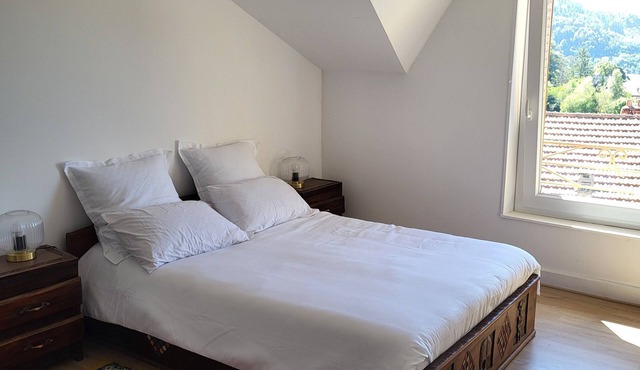 Attic suite with unobstructed view - Thiers center, near train station