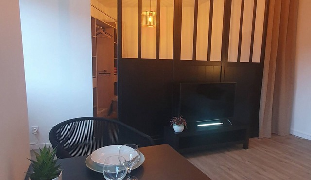 Attractive, bright T1 bis just a stone's throw from the center of Chambéry. Mountain views!