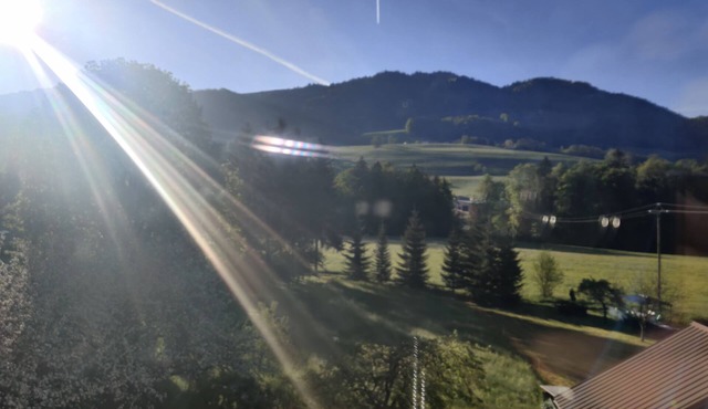 Attractive, fully-renovated 50m2 ground-floor apartment.