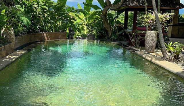 Attractive villa amidst a Balinese village in northern Bali