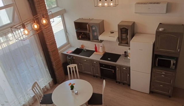 Atypical air-conditioned apartment, 4 to 6 p. Tarn, Albi,Gaillac,Cordes