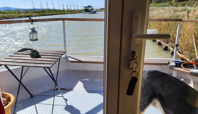Atypical boat on the Canal du Midi