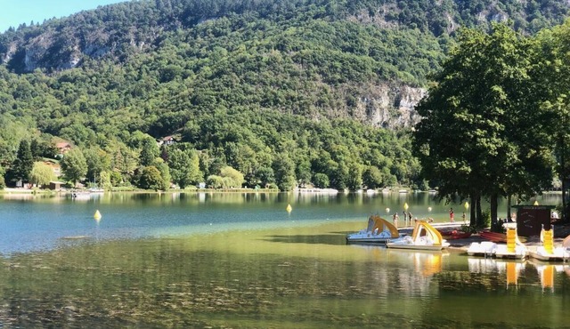 Atypical chalet, calm nature and river