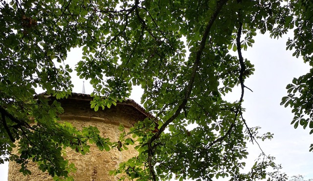Atypical charming cottage for 4 pers. a dovecote and a barn drômois