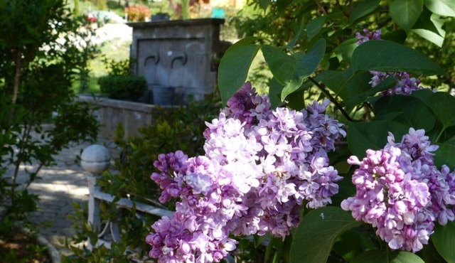 atypical cottage L'atelier