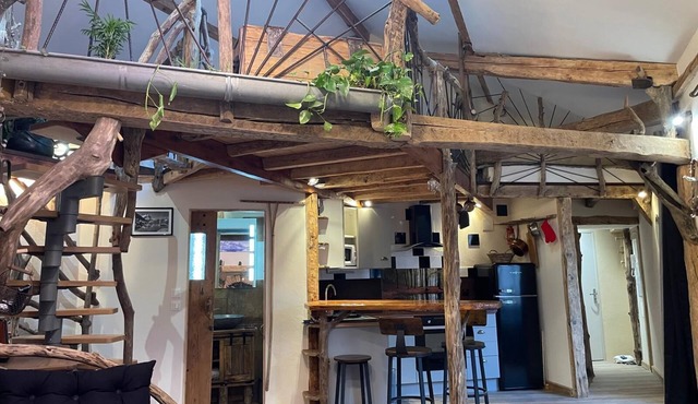 Atypical downtown apartment close to all amenities