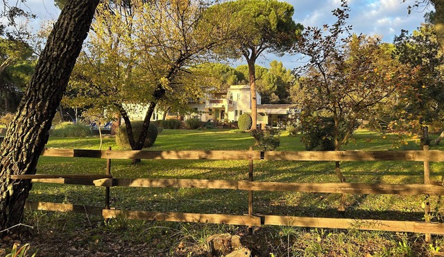 Atypical gîte in the heart of the Maures Nature Reserve