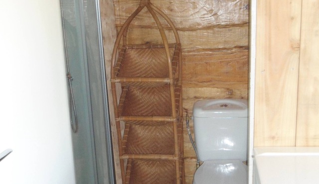 Atypical LIBELLULA in a green space