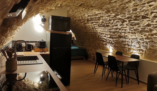Atypical renovated stable apartment