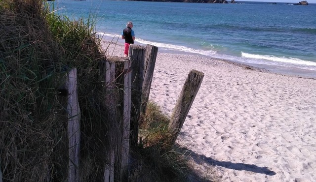 Atypical studio in Brittany. Pets allowed.