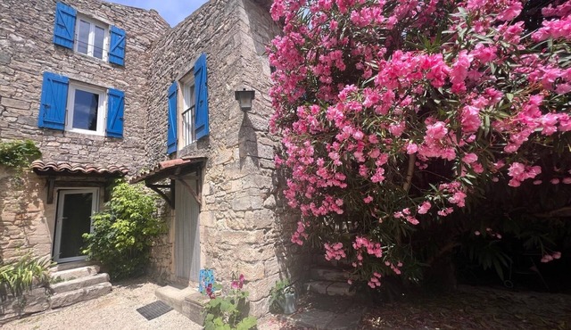 Atypical village house