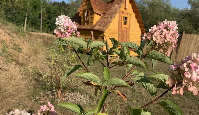 Au Bonheur Comtois unusual cabin with swimming pool