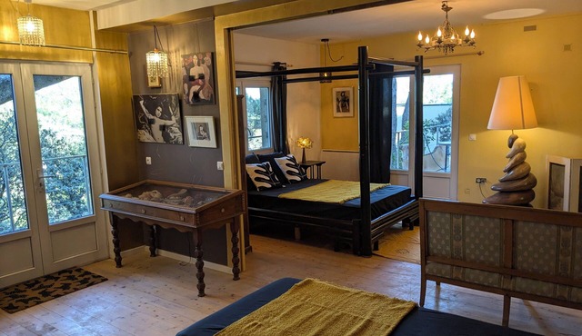 Au Bonheur des Dames, nature and pleasures in Avignon