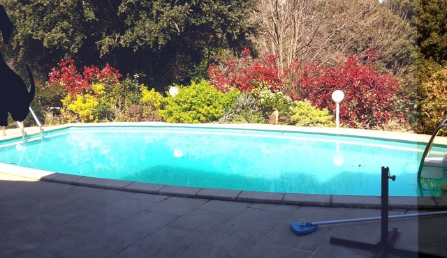 au bord de la piscine,jardin confort