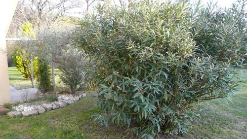 Au bras d'argent Léa et Vincent