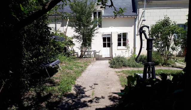 Au cœur des châteaux et des vignobles de la Loire