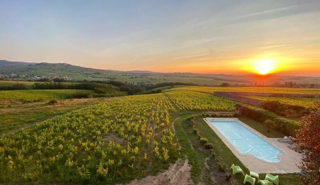 Au cœur des vignes Chénas du Beaujolais
