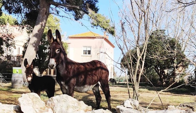 Au cœur de la Nature