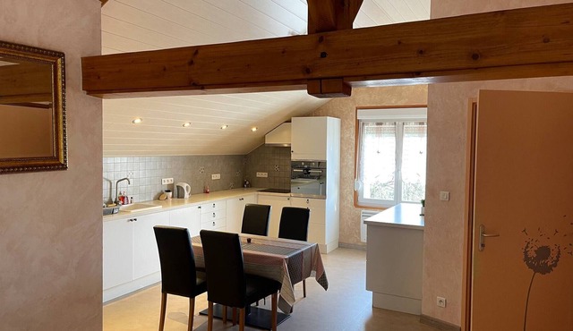 Au Cœur Des Stations De Ski, 1omin De La Suisse