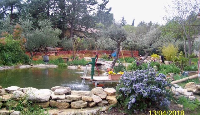 Au Coeur De L Olivette