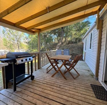 Au coeur de la pinède