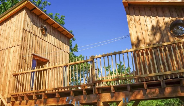 Au coeur de nos bois