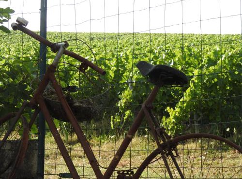 Au Coeur Des Vignes