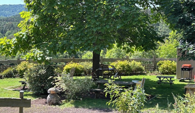 Au Coeur des Volcans, appartement lumineux et spacieux